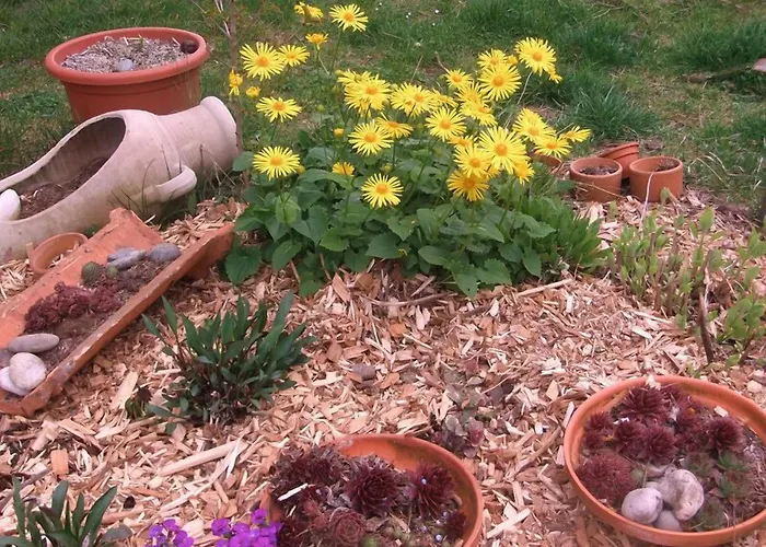 Voglöder Hof Gasthof 4*