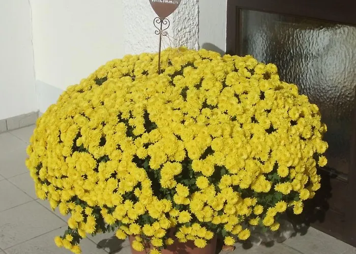 Gasthof Voglöder Hof 4*