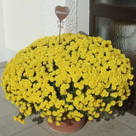 Gasthuis Vogloeder Hof 4*